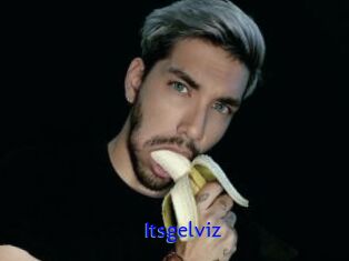 Itsgelviz