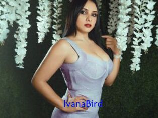 IvanaBird