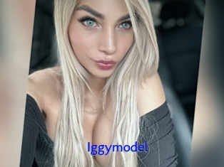 Iggymodel