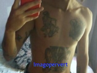 Imagopervert