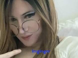 Imginger