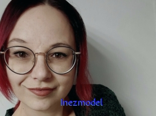 Inezmodel