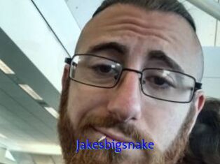 Jakesbigsnake