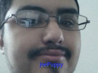 JoePuppy