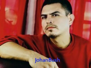 JohanBush