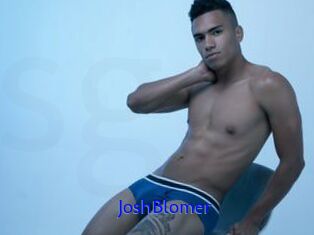 JoshBlomer