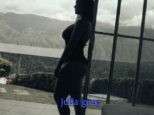 Julia_gray