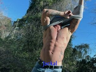 Jackal