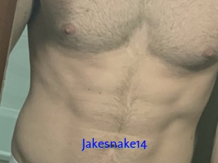 Jakesnake14