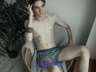 Jaybreeze