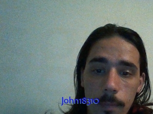 John18310