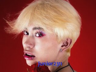 Junior2311