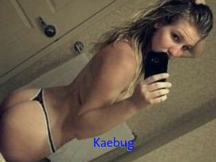 Kaebug