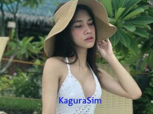 KaguraSim