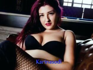 Karinasodi