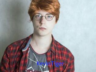 KevinTiger