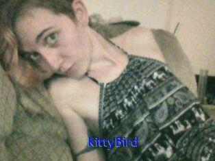 KittyBird