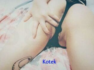 Kotek