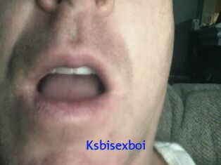 Ksbisexboi