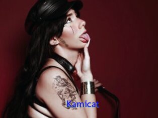 Kamicat