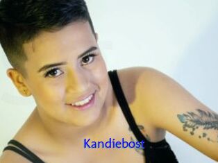 Kandiebost