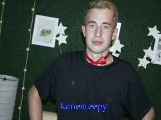 Kanesteepy