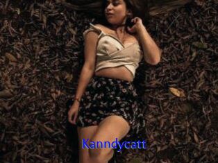 Kanndycatt
