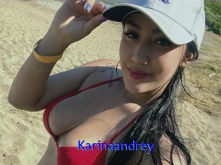 Karinaandrey