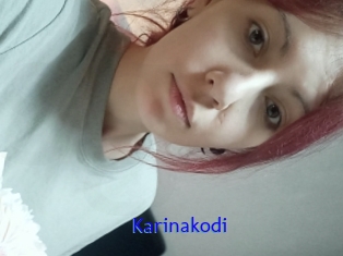 Karinakodi