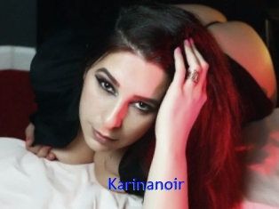 Karinanoir
