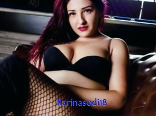 Karinasodi18