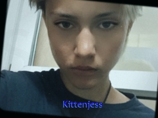 Kittenjess