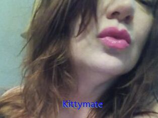 Kittymate