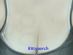 Kittyporch