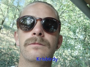 Krisbirdy