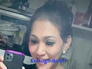Kulkoginikutifi