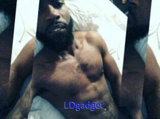 LDgadget