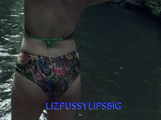 LIZPUSSYLIPSBIG