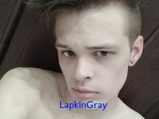 LapkinGray