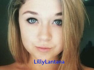 LillyLantana