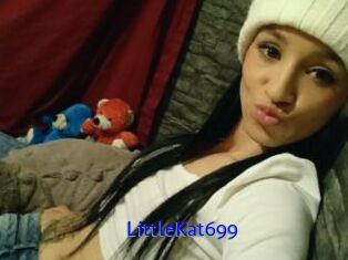 LittleKat699