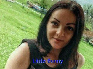 Little_Bunny_