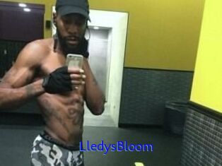 Lledys_Bloom