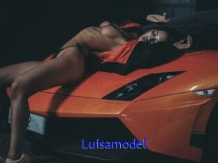 Luisamodel
