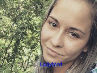 Ladybird