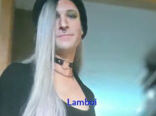 Lamboi