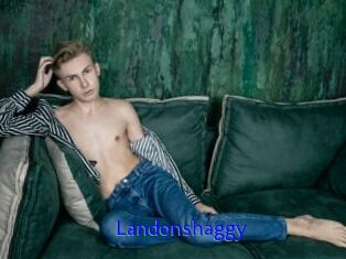 landonshaggy Sexo Gratis