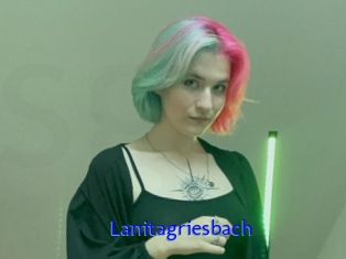 Lanitagriesbach