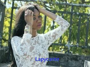 Lapycante