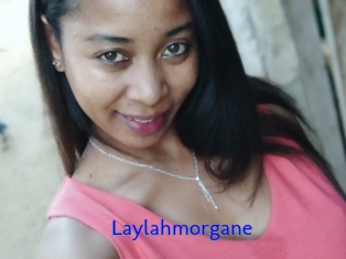 Laylahmorgane